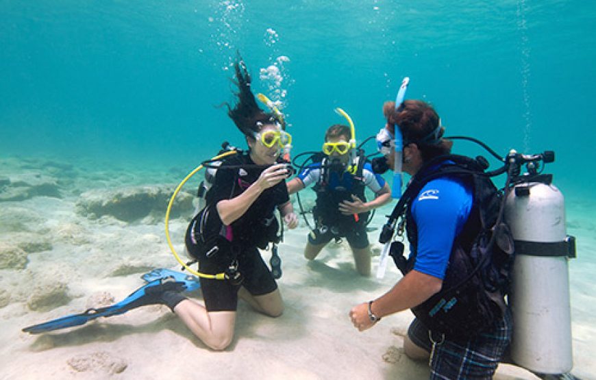 PADI Scuba Review