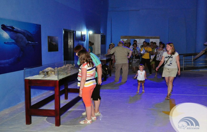 Hurghada Grand Aquarium