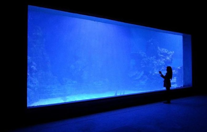 Hurghada Grand Aquarium