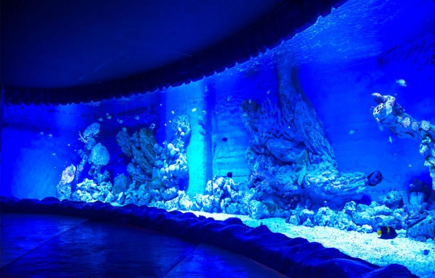 Hurghada Grand Aquarium