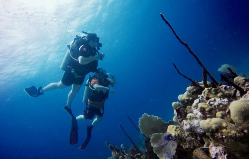 10 Days Dive Package