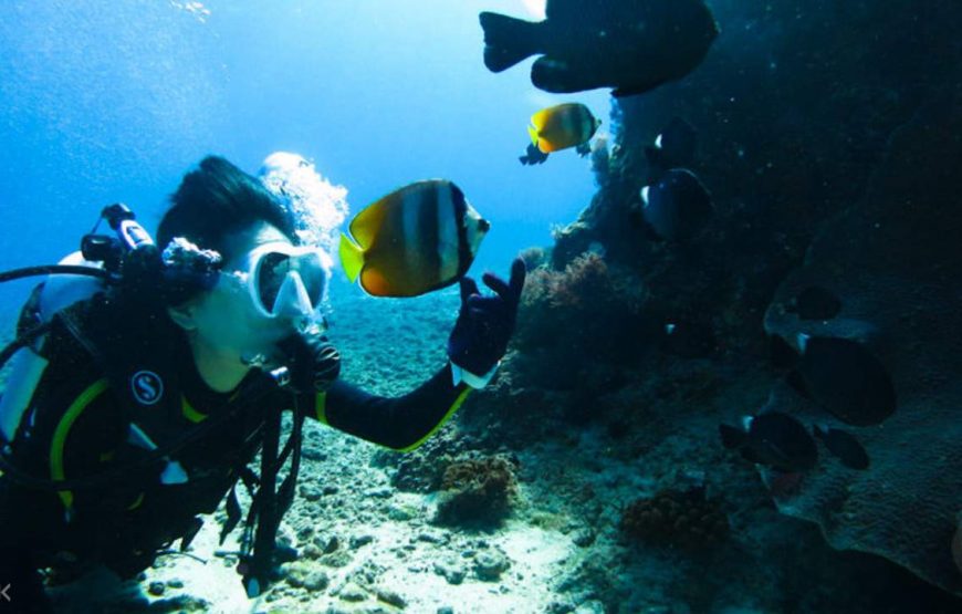 5 Days Dive Package