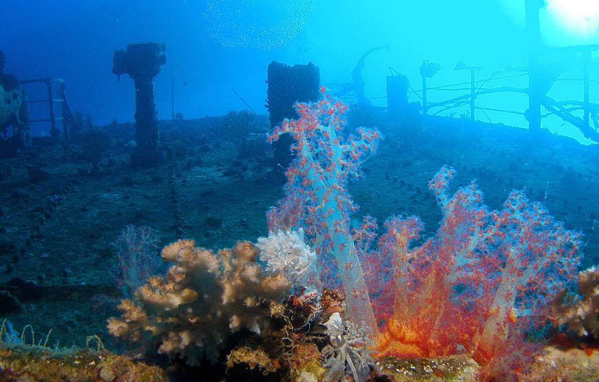 PADI Wreck Diver Specialty