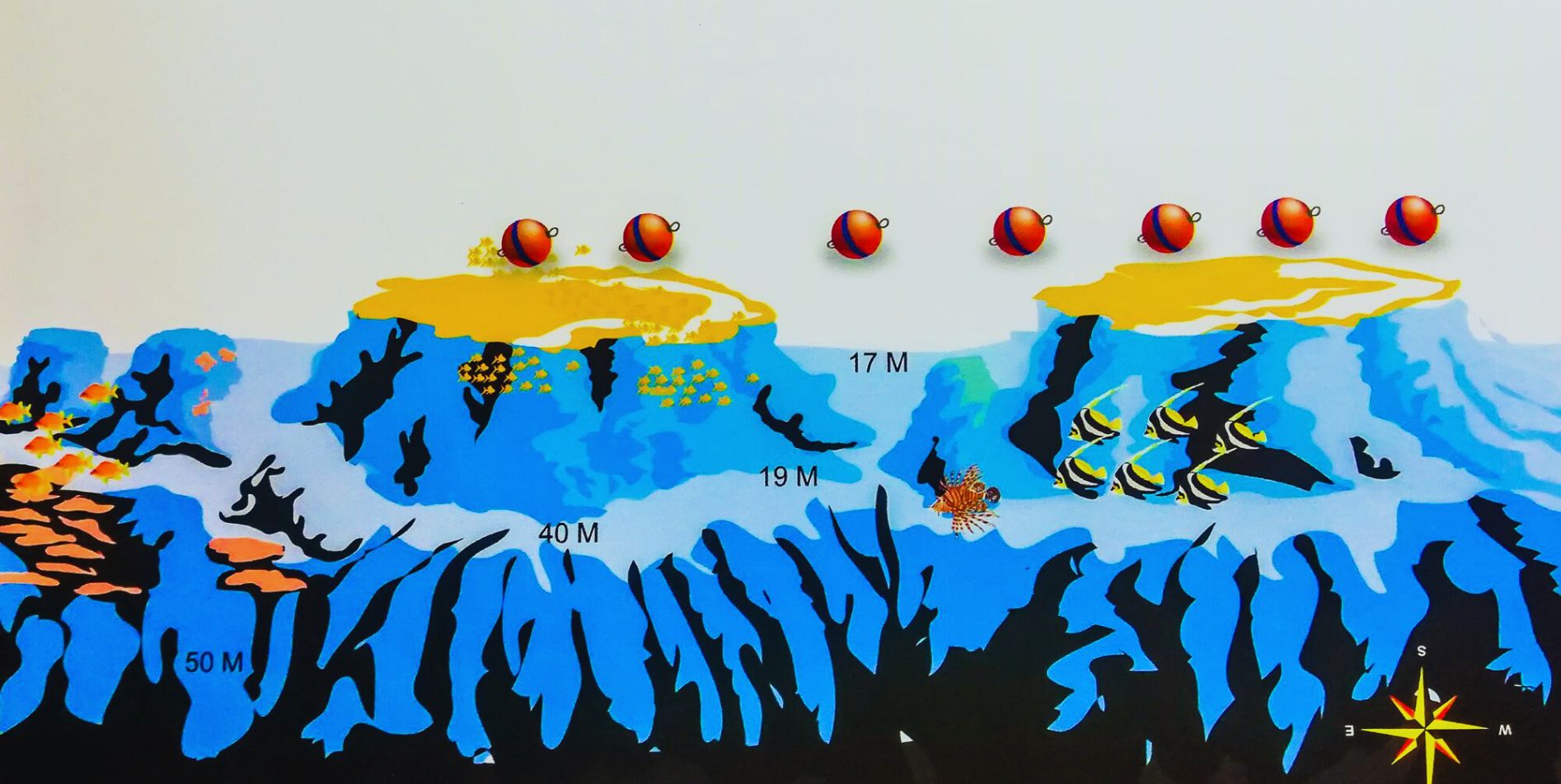 Carless Reef