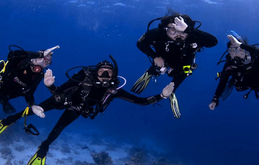 Open Water Dive Course