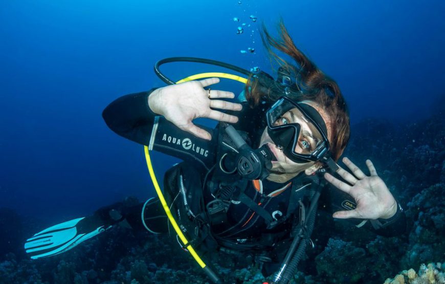 Open Water Dive Course