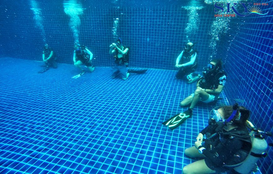 Padi Divemaster Course