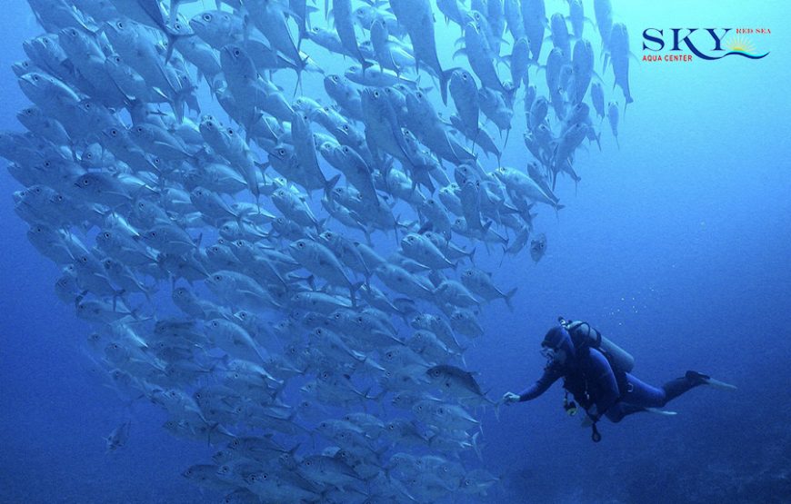 PADI Deep Diver Course