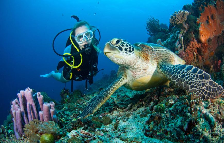 Discover Scuba Diving