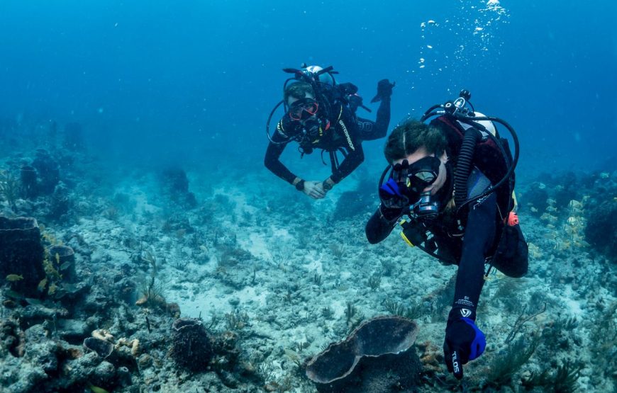 Discover Scuba Diving