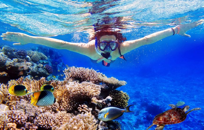 Snorkeling Trips – Sky Red Sea