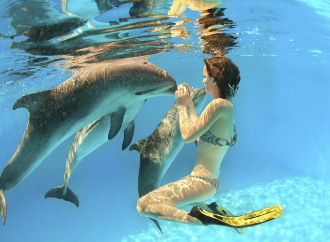 Mit Delphinen schwimmen