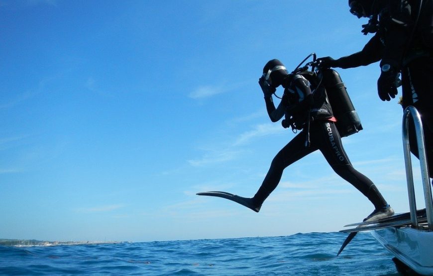 Padi Instructor Development