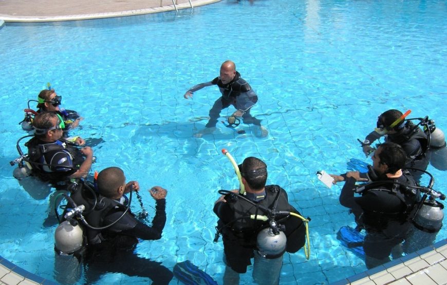 Padi Instructor Development