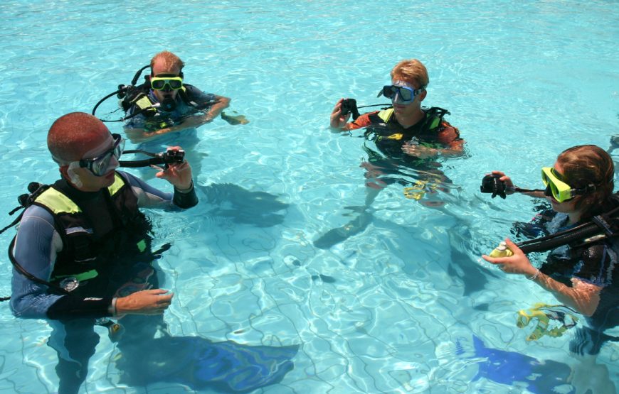 Padi Instructor Development