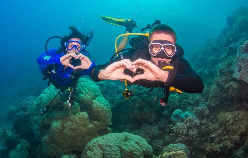 Padi Instructor Development